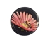 Picture of METAL LID PURPLE CONE FLOWER