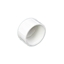 Picture of PVC CAP 1/2"  FIPT