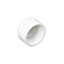 Picture of PVC CAP 3" FIPT