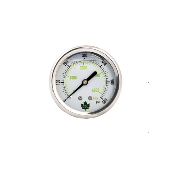 Picture of GLYCERINE GAUGE 100 PSI 2-1/2" REAR OUT. SS